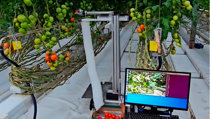 Рис. 3. Предиктивная аналитика производства сельхозкультур уже становится привычным делом и позволяет повысить урожайность, при том что затраты на такие системы с каждым днем снижаются в связи с оптимизацией кодовой базы и моделей в целом. (Источник: https://milknews.ru/longridy/AI-v-selskom-hozjajstve.html)